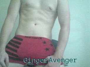 GingerAvenger
