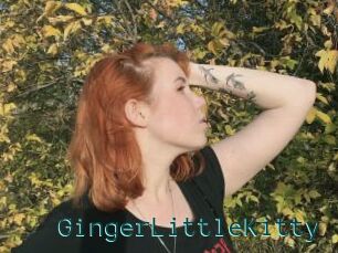 GingerLittleKitty