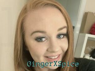 GingerXSpice