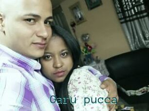 Garu_pucca