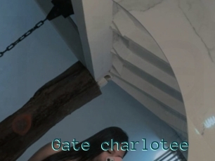 Gate_charlotee