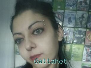 Gattahot