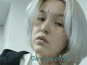 Gavgavoni