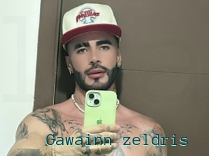 Gawainn_zeldris