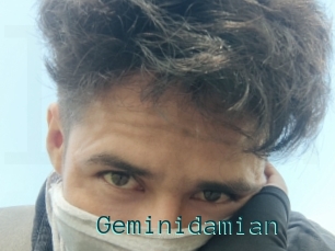 Geminidamian