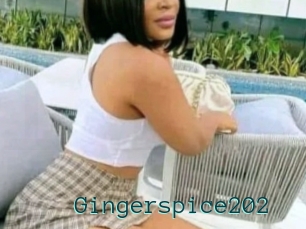 Gingerspice202
