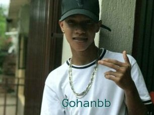 Gohanbb