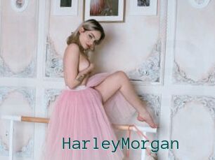 HarleyMorgan