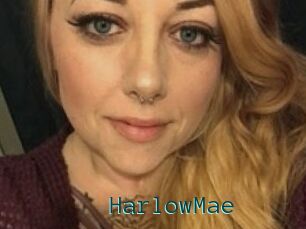 HarlowMae