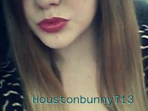 Houstonbunny713