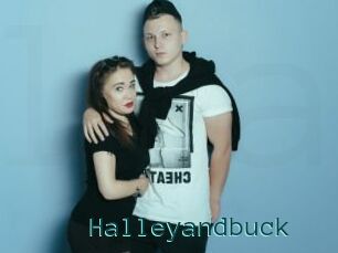 Halleyandbuck
