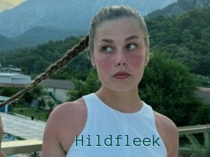 Hildfleek