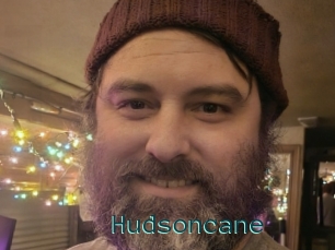Hudsoncane
