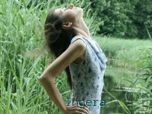 Ingera