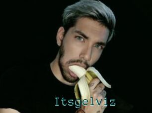 Itsgelviz