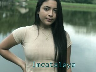 Imcataleya