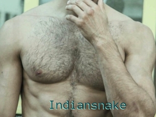 Indiansnake