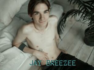 JAY_BREEZEE