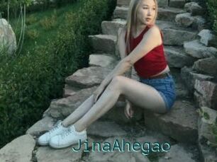 JinaAhegao