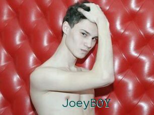 JoeyB0Y