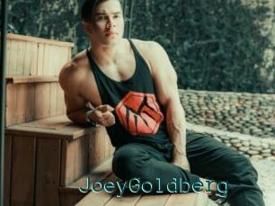 JoeyGoldberg
