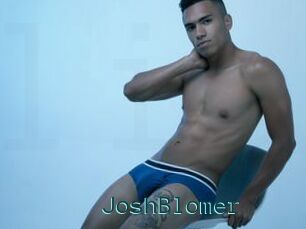JoshBlomer