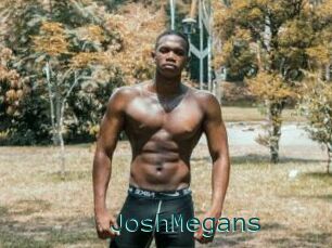 JoshMegans