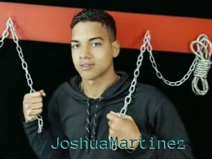JoshuaMartinez