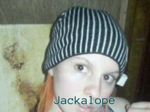 Jackalope