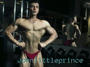 Johnlittleprince