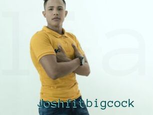 Joshfitbigcock