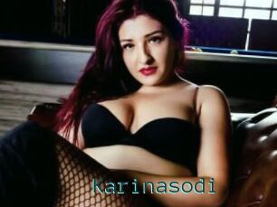 Karinasodi