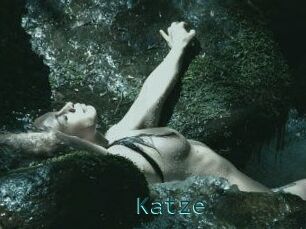 Katze