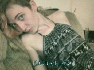 KittyBird