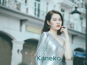Kaneko