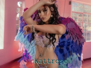 Kattrose