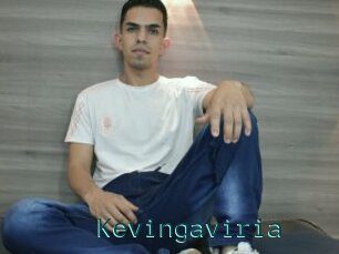 Kevingaviria