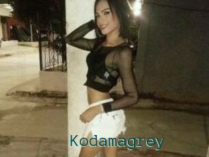Kodamagrey