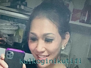 Kulkoginikutifi