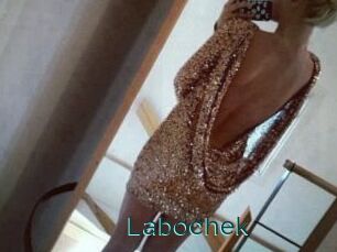 Labochek