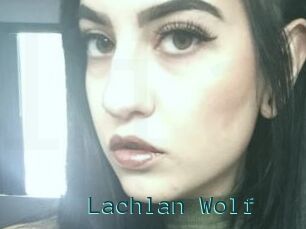 Lachlan_Wolf
