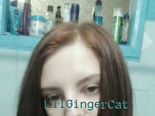 LilGingerCat
