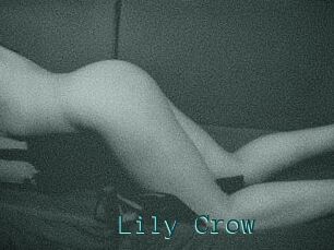 Lily_Crow