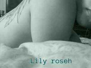 Lily_roseh