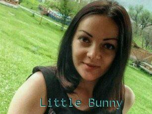 Little_Bunny_