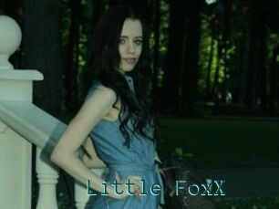 Little_FoxX
