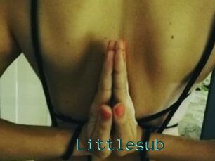 Littlesub