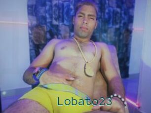 Lobato23