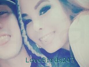 LoveBirds247