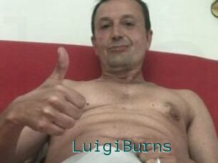 LuigiBurns